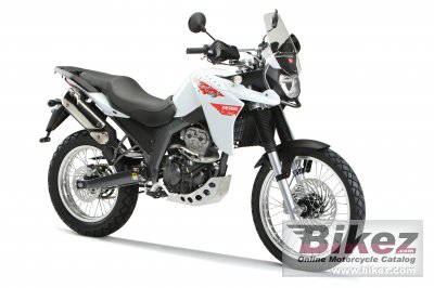 2010 Derbi Terra Adventure 125 photo